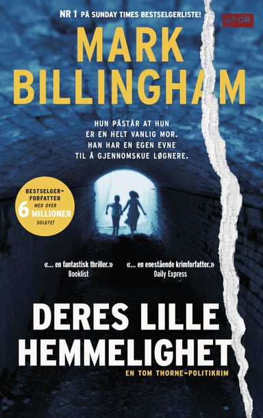 Omslag av "Deres lille hemmelighet"