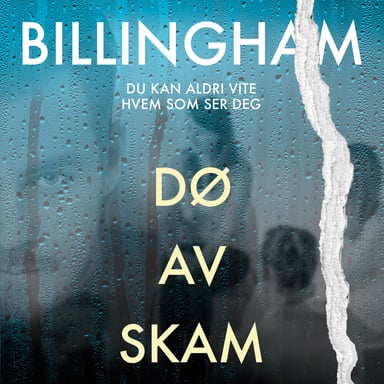 Omslag av "Dø av skam"