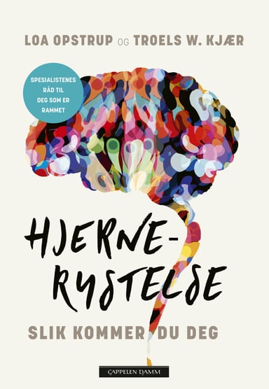 Omslag av "Hjernerystelse"