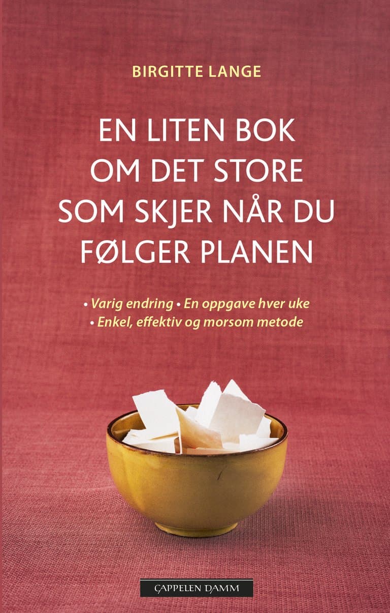 Omslag En liten bok om det store som skjer når du følger planen av Birgitte Lange (Innbundet)