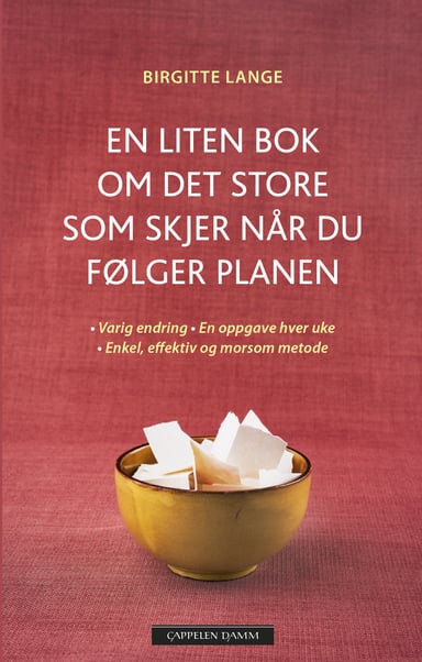 Omslag av "En liten bok om det store som skjer når du følger planen"