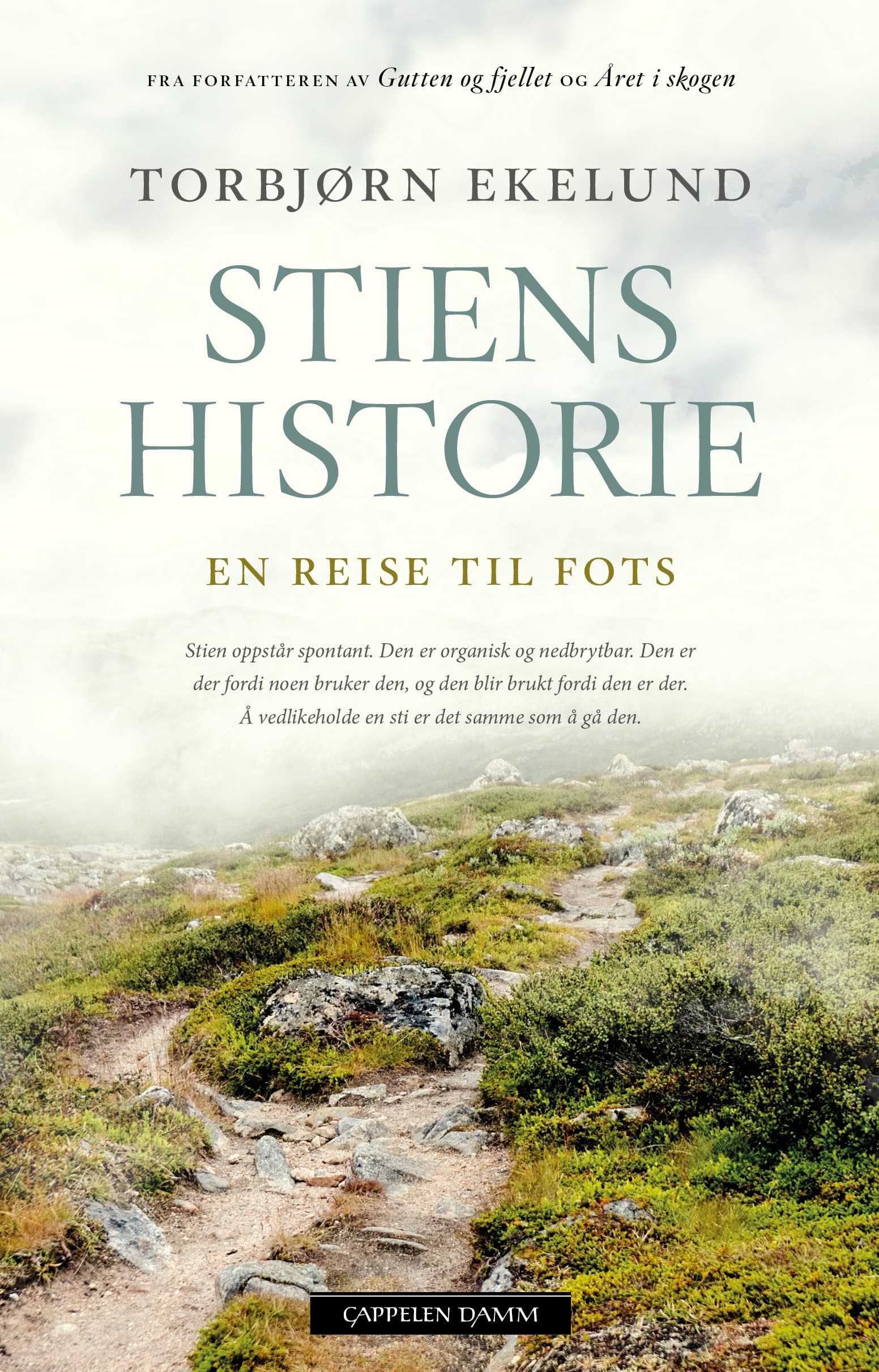 Omslag Stiens historie av Torbjørn Ekelund (Ebok)