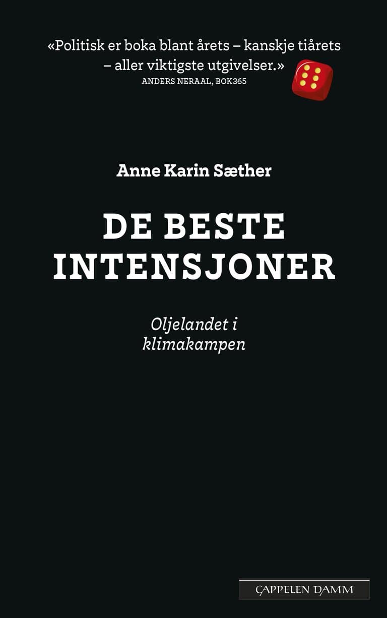 Omslag De beste intensjoner av Anne Karin Sæther (Heftet)