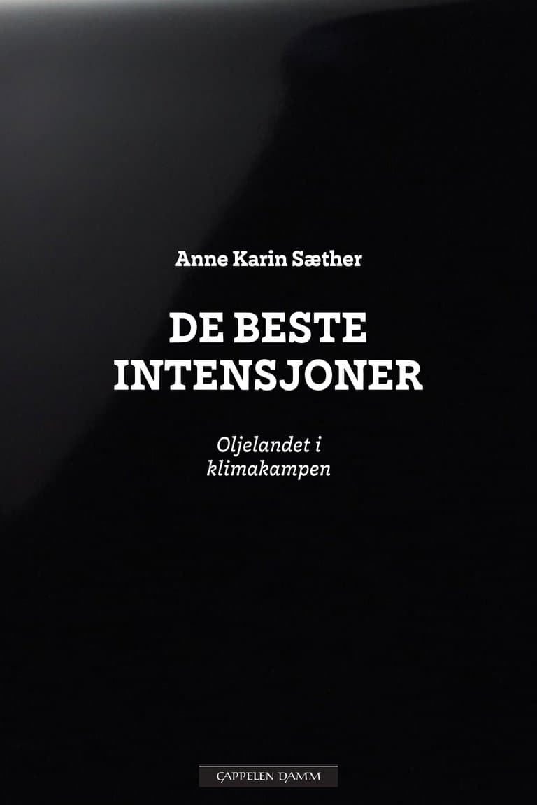 Omslag De beste intensjoner av Anne Karin Sæther (Ebok)