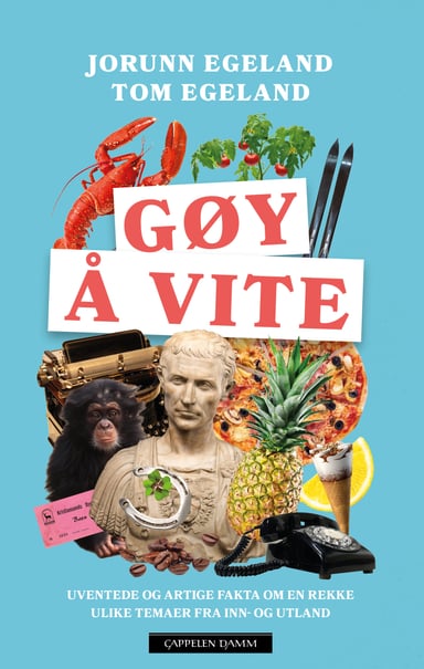 Omslag av "Gøy å vite"