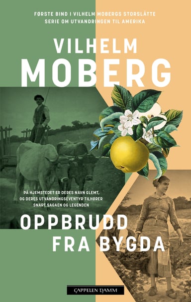 Omslag av "Oppbrudd fra bygda"