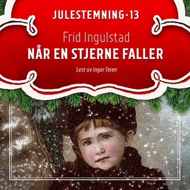 Omslag av "Når en stjerne faller"