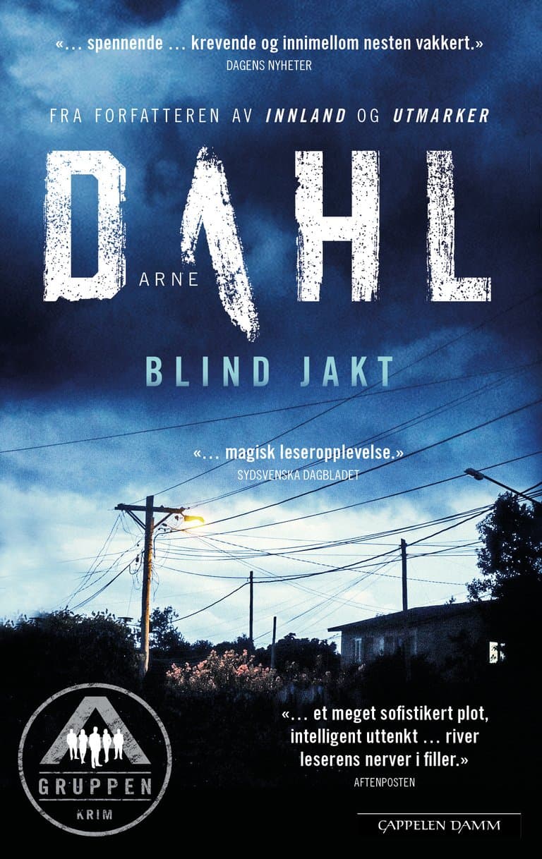 Omslag Blind jakt av Arne Dahl (Heftet)