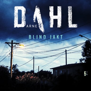 Omslag av "Blind jakt"
