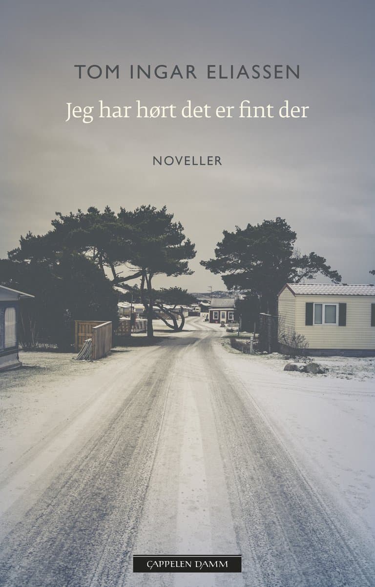 Omslag Jeg har hørt det er fint der av Tom Ingar Eliassen (Ebok)