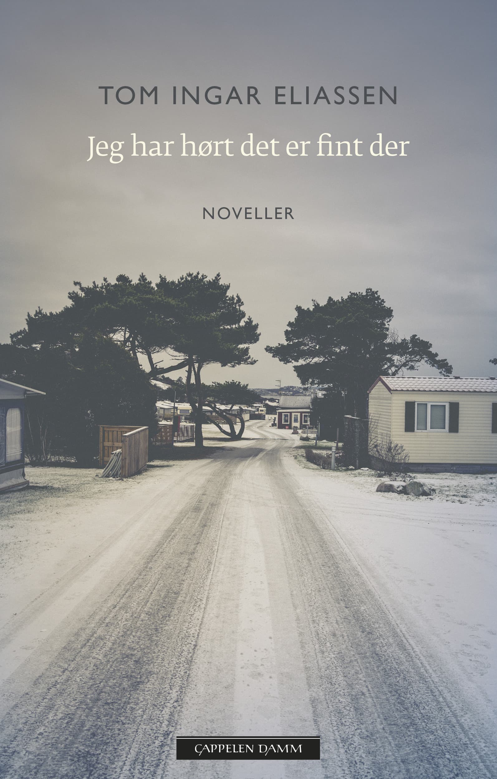 Omslag Jeg har hørt det er fint der av Tom Ingar Eliassen (Ebok)
