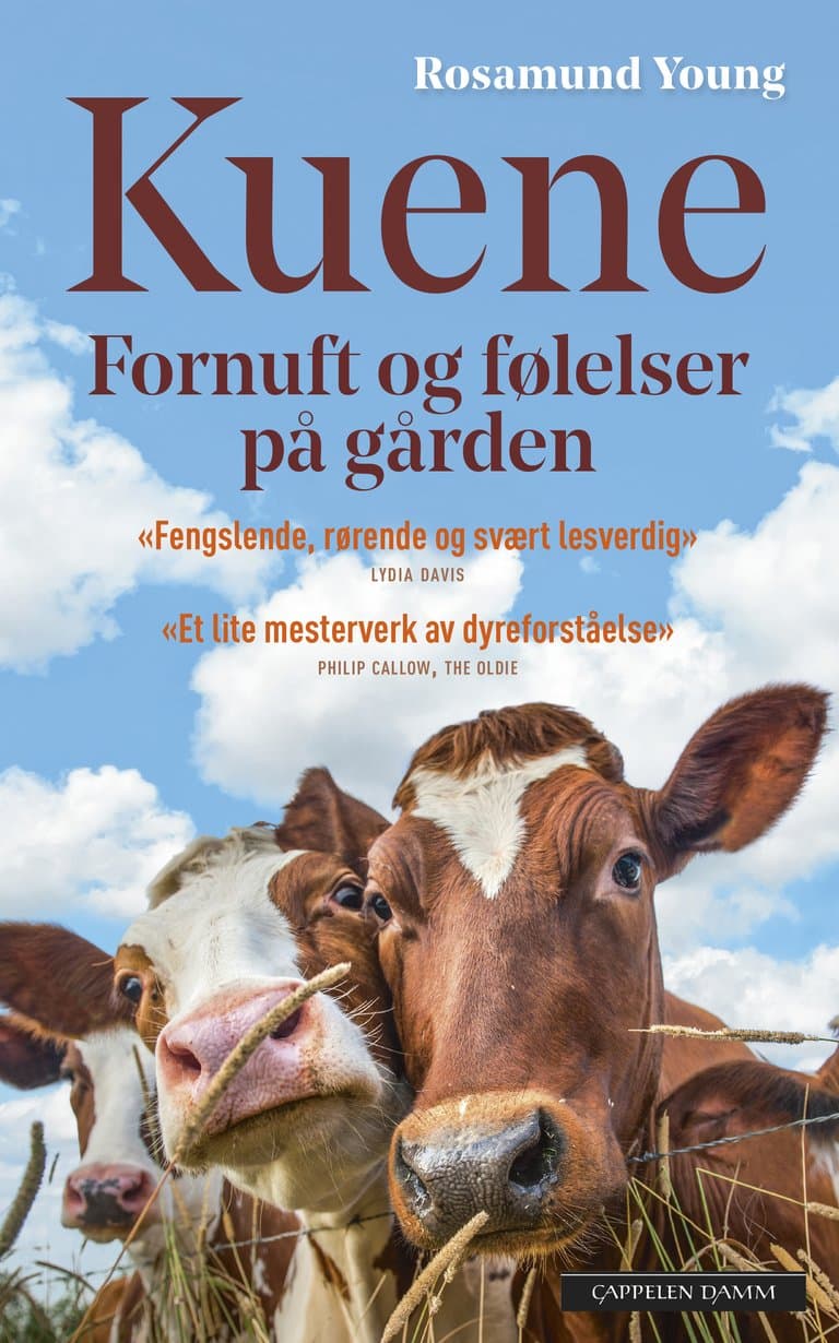 Omslag Kuene av Rosamund Young (Ebok)