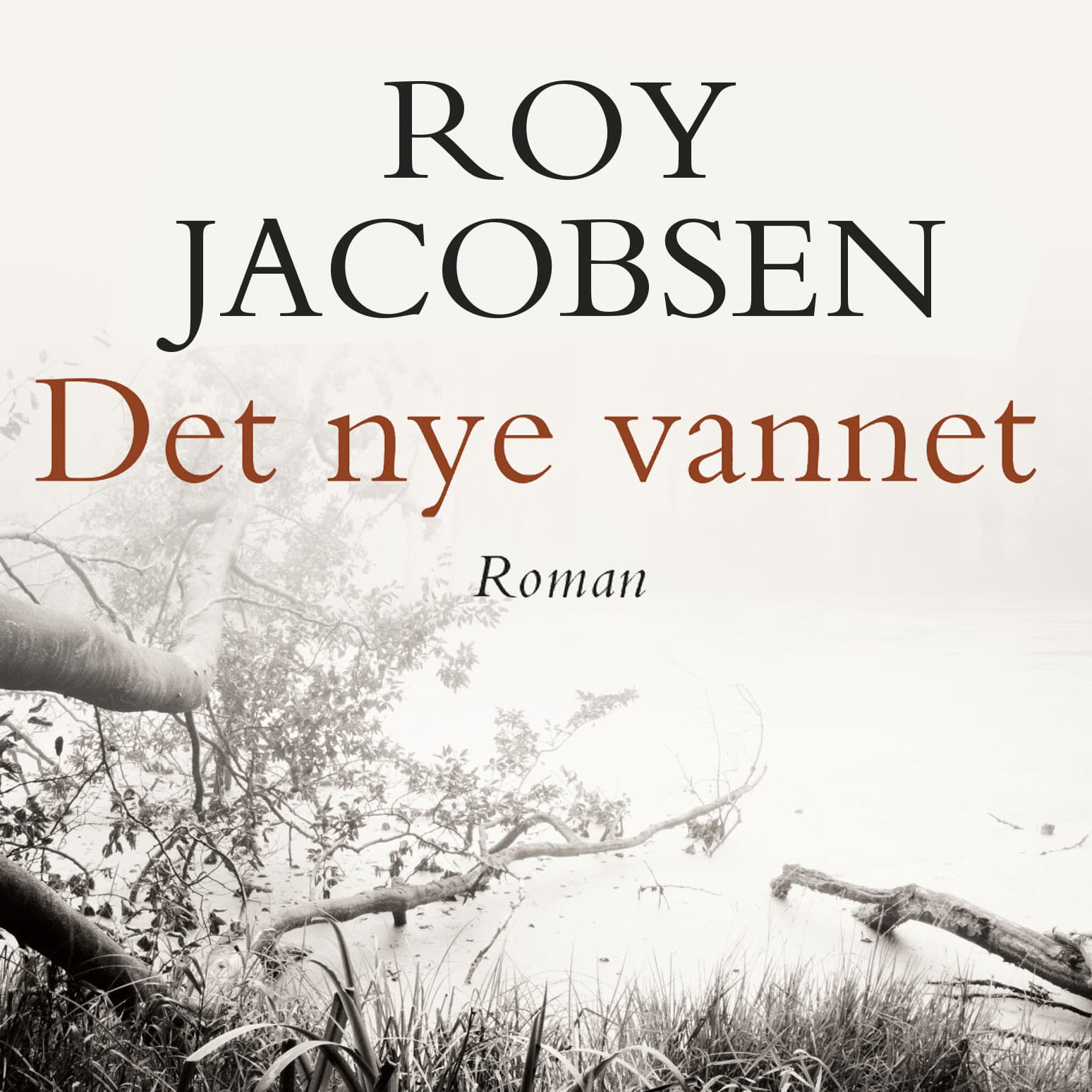 Omslag Det nye vannet av Roy Jacobsen (Lydbok)