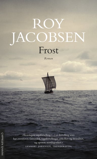 Omslag av "Frost"