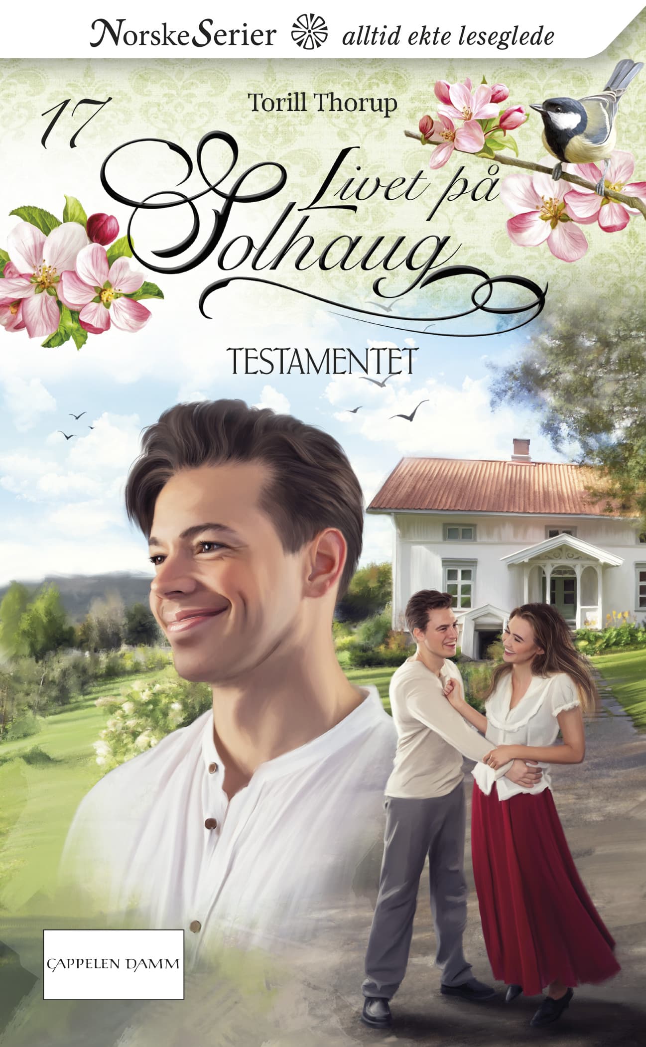 Omslag Testamentet av Torill Thorup (Ebok)