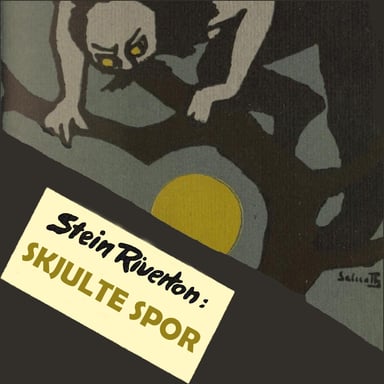 Omslag av "Skjulte spor"
