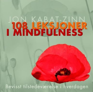 Omslag av "108 leksjoner i mindfulness"