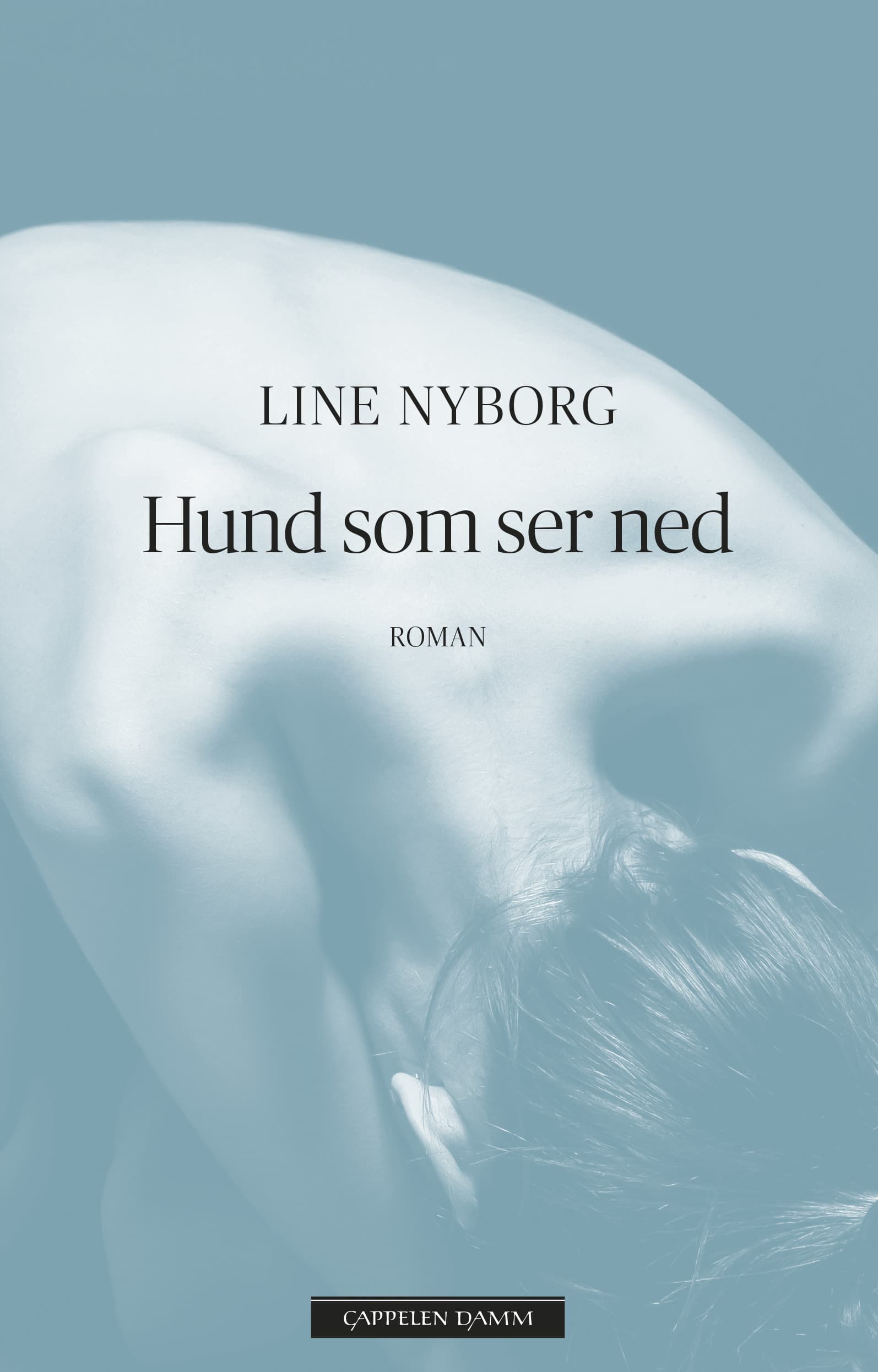 Omslag Hund som ser ned av Line Nyborg (Ebok)