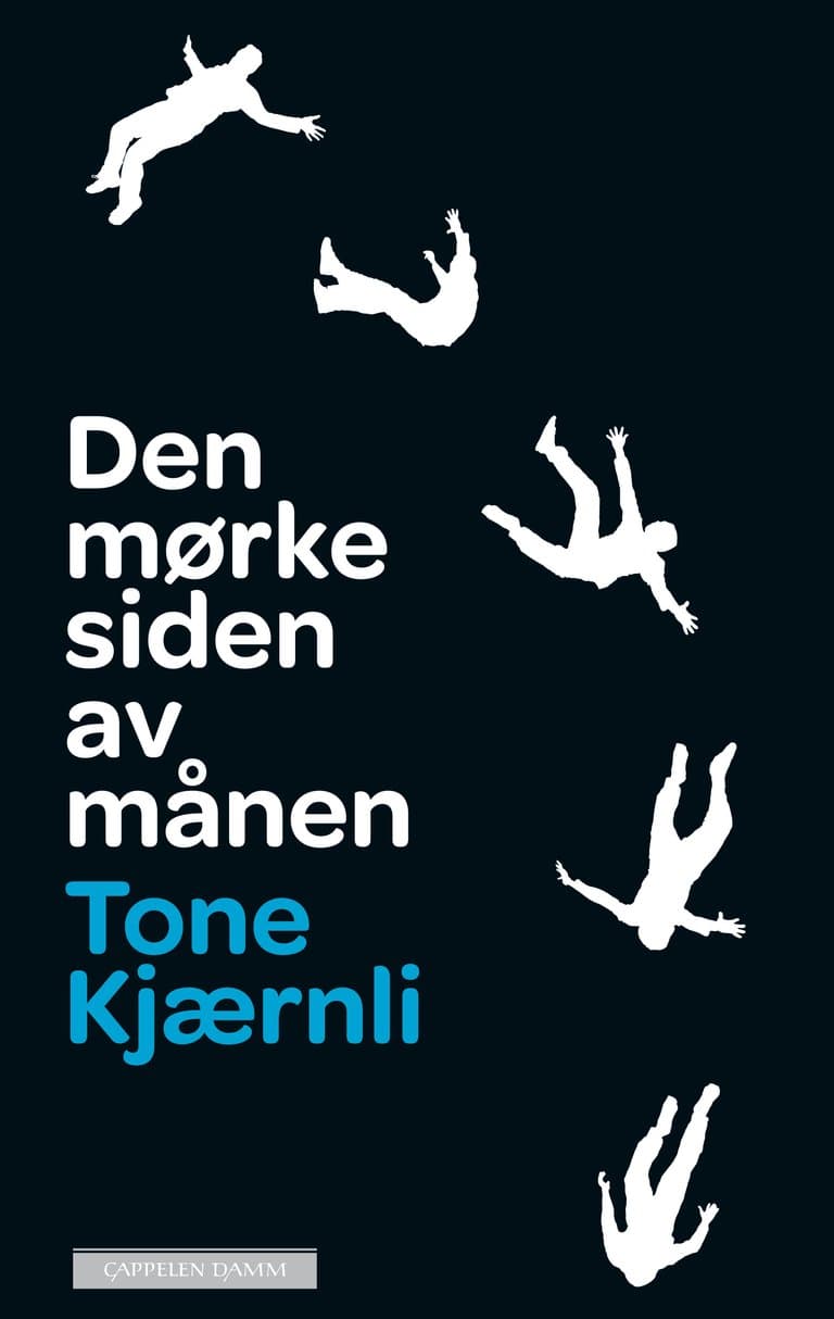 Omslag Den mørke siden av månen av Tone Kjærnli (Innbundet)