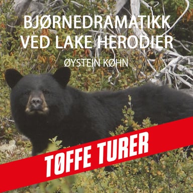 Omslag av "Bjørnedramatikk ved Lake Herodier"