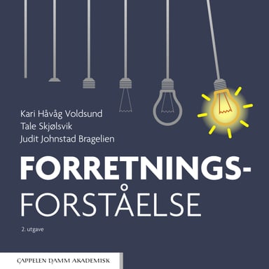 Omslag av "Forretningsforståelse"
