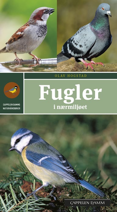 Omslag av "Fugler i nærmiljøet"