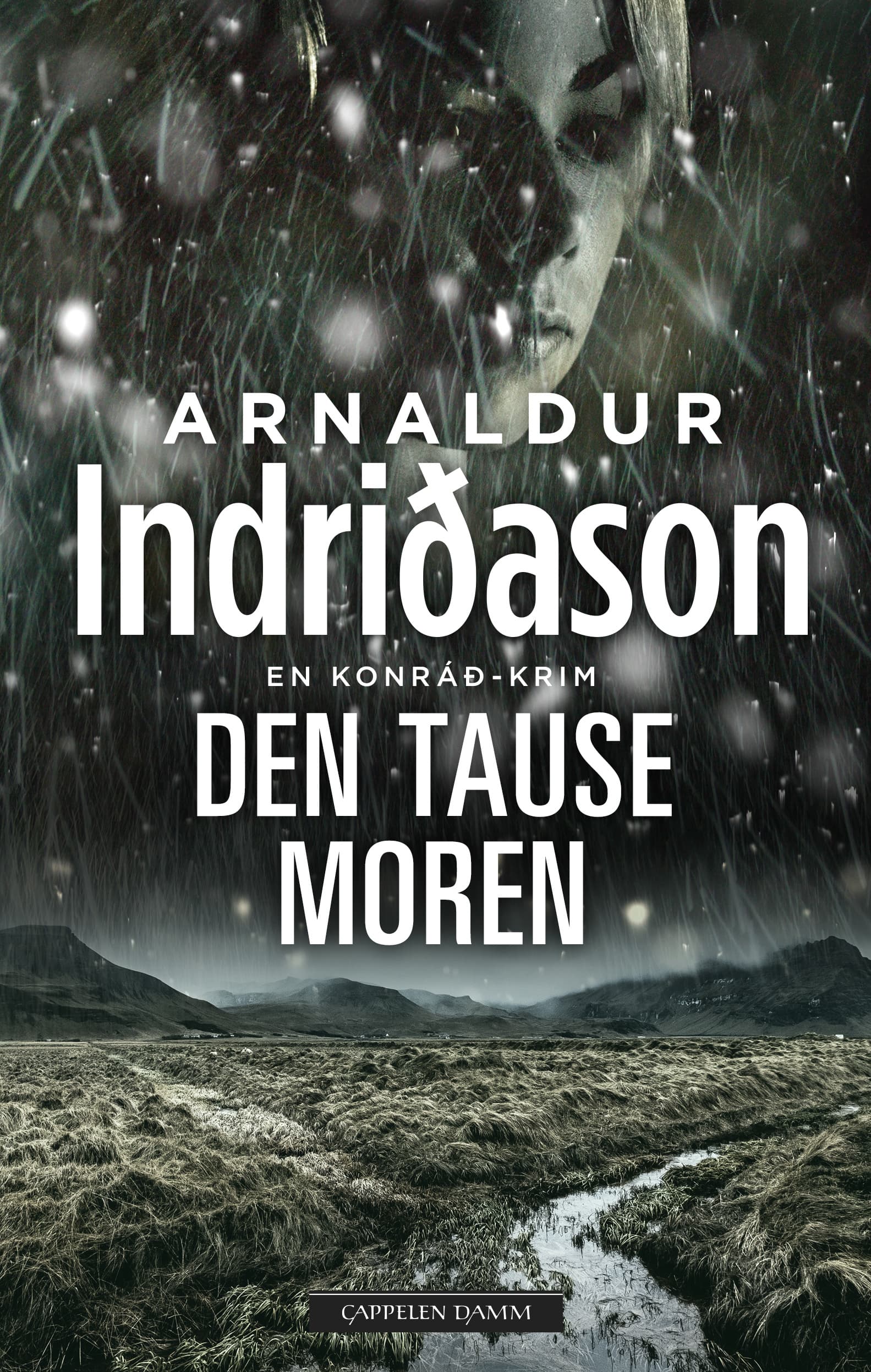 Omslag Den tause moren av Arnaldur Indridason (Innbundet)