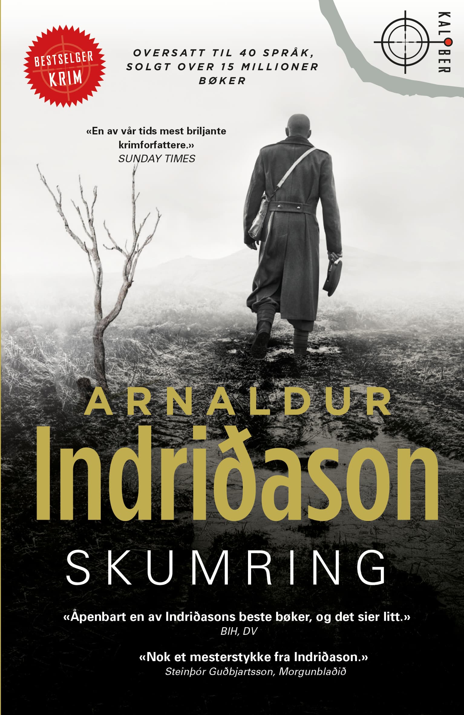 Omslag Skumring av Arnaldur Indridason (Ebok)