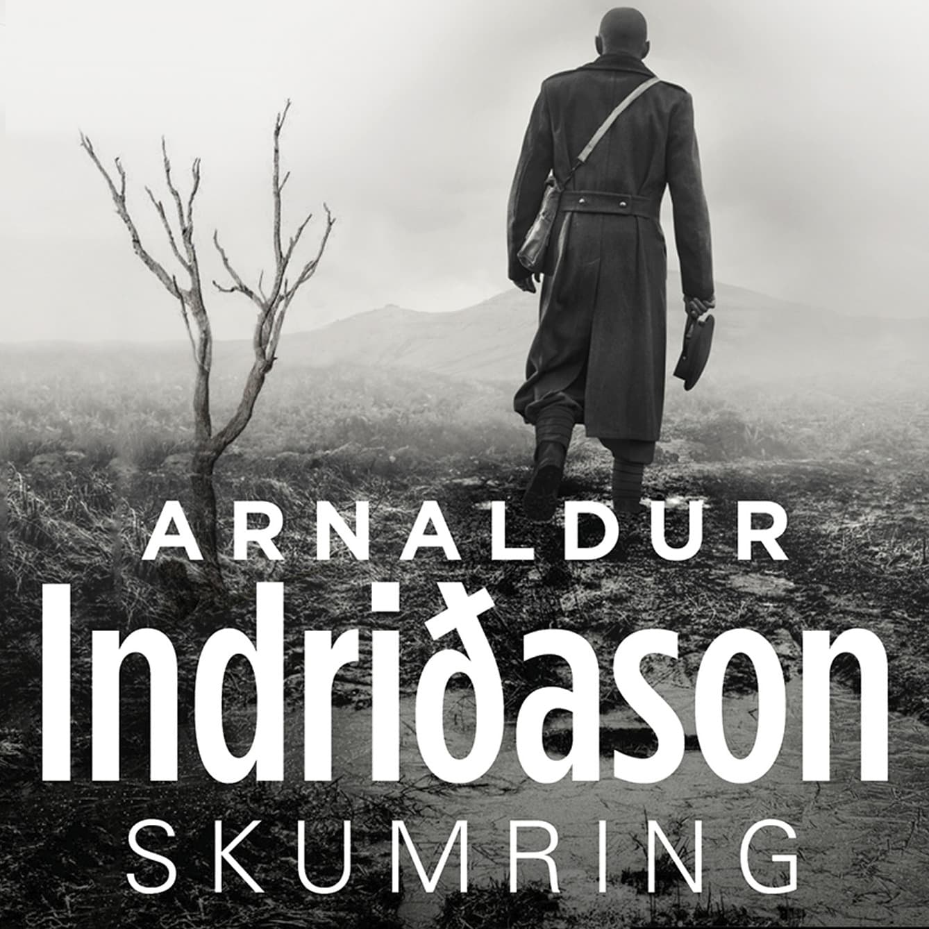 Omslag Skumring av Arnaldur Indridason (Lydbok)