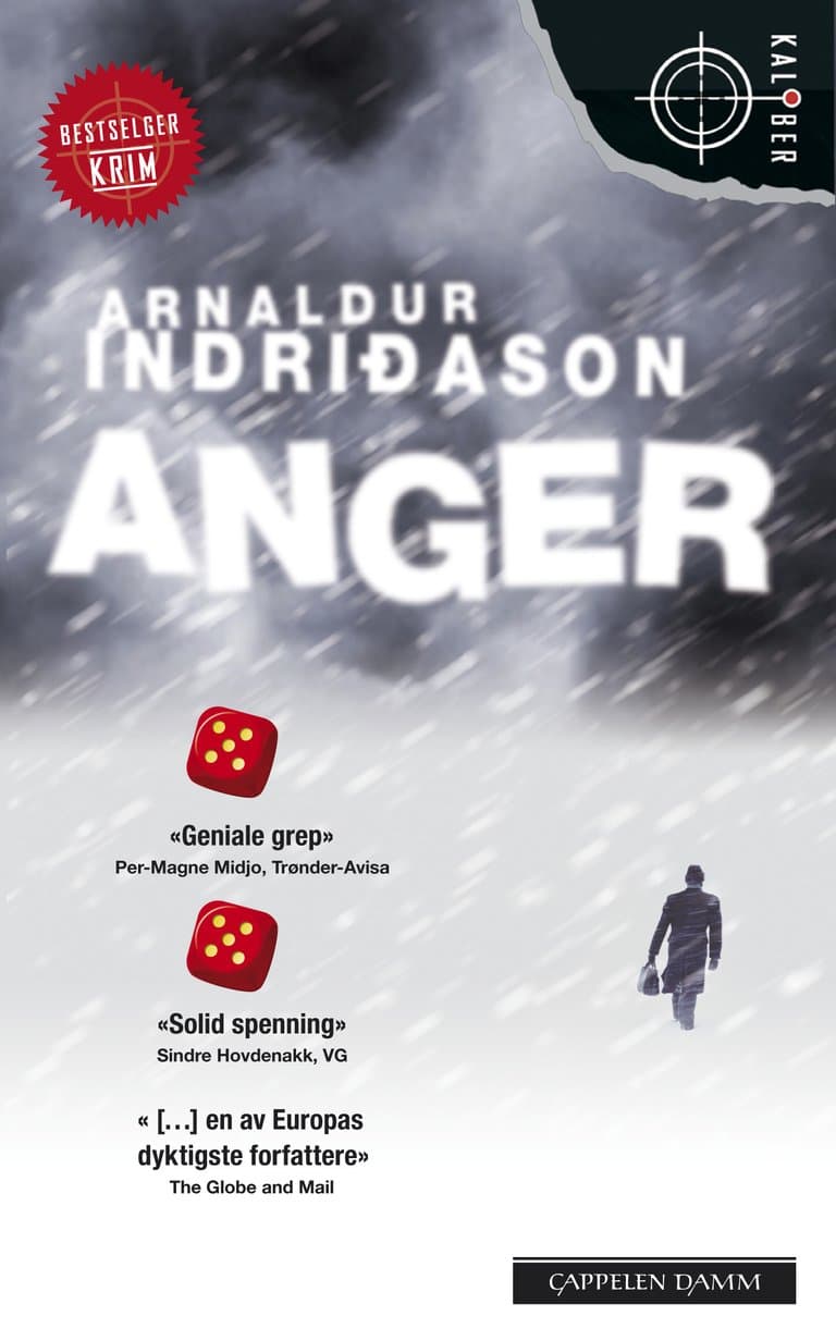 Omslag Anger av Arnaldur Indridason (Heftet)