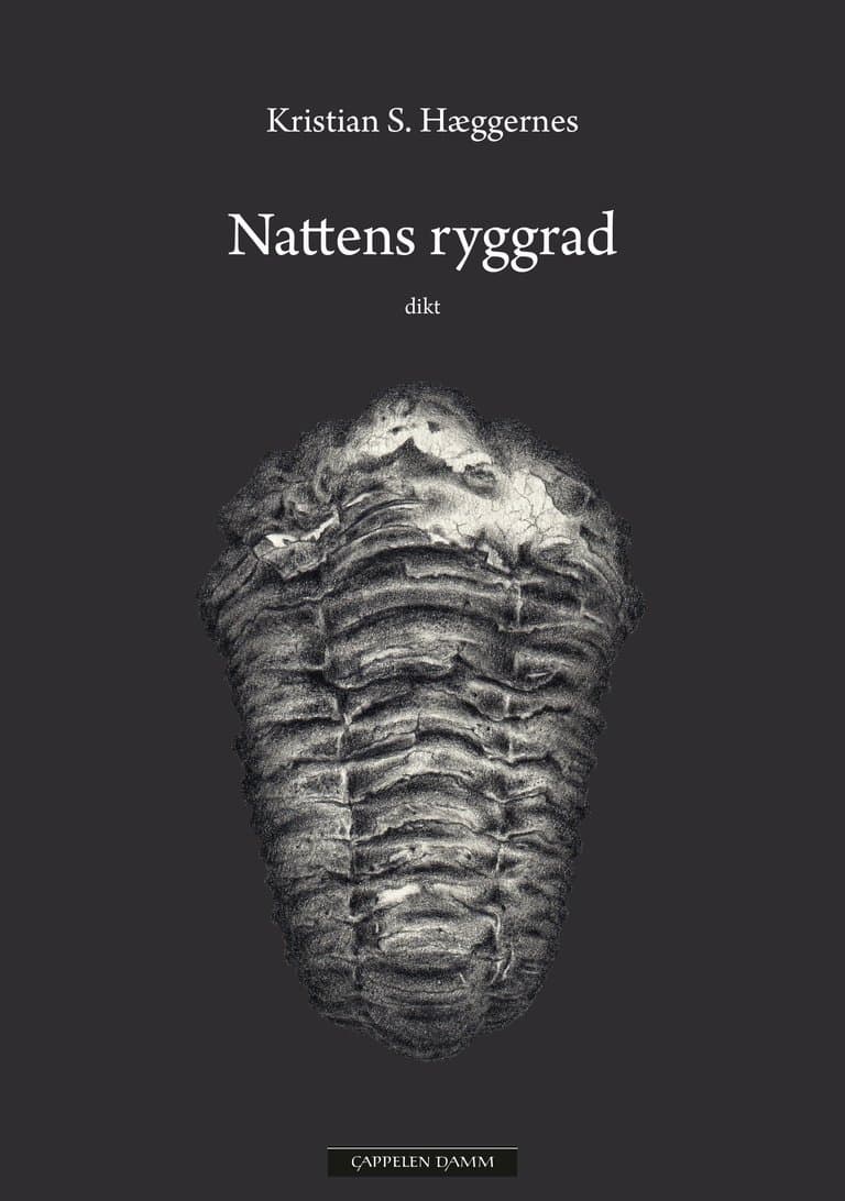Omslag Nattens ryggrad av Kristian S. Hæggernes (Innbundet)