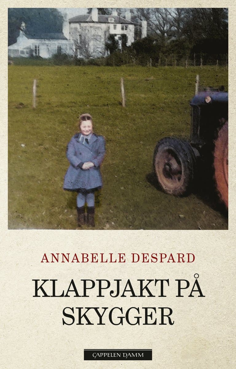 Omslag Klappjakt på skygger av Annabelle Despard (Innbundet)