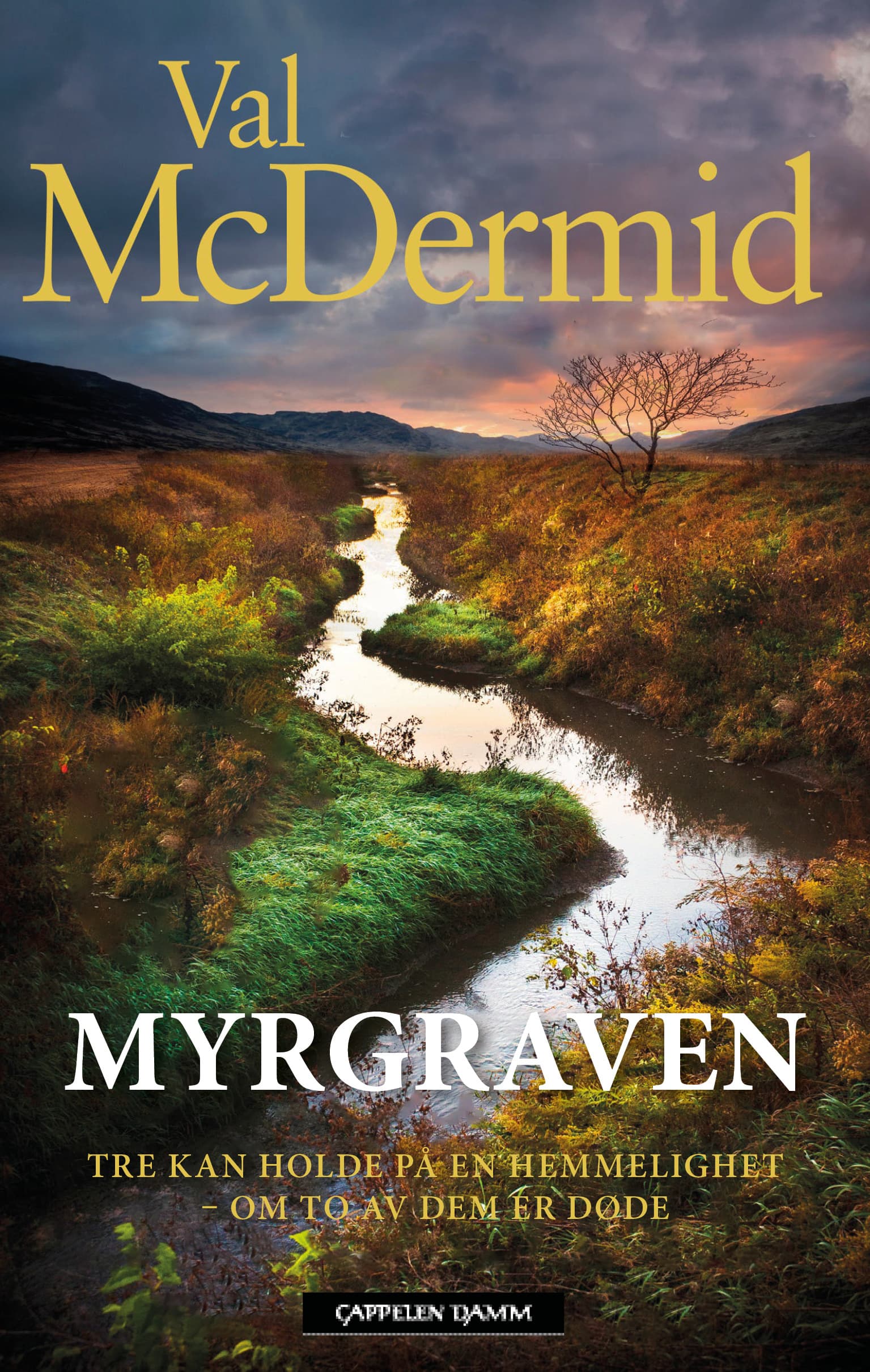 Omslag Myrgraven av Val McDermid (Innbundet)