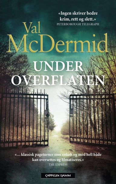 Omslag av "Under overflaten"