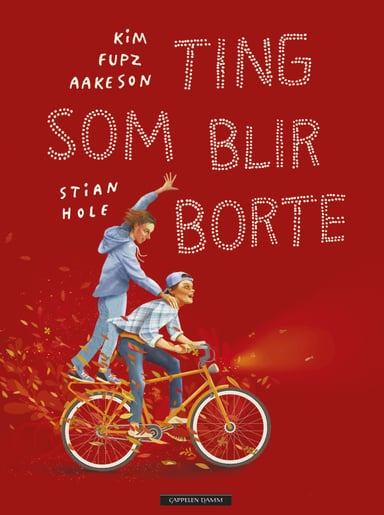 Omslag av "Ting som blir borte"