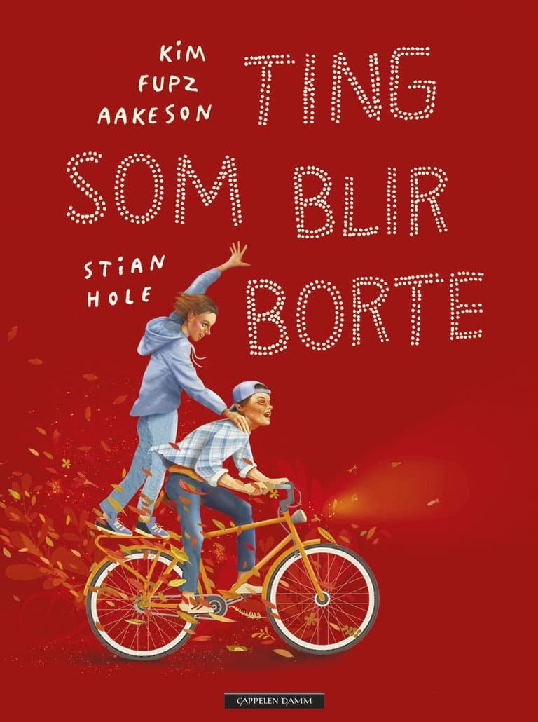 Omslag Ting som blir borte av Kim Fupz Aakeson og Stian Hole (Ebok)