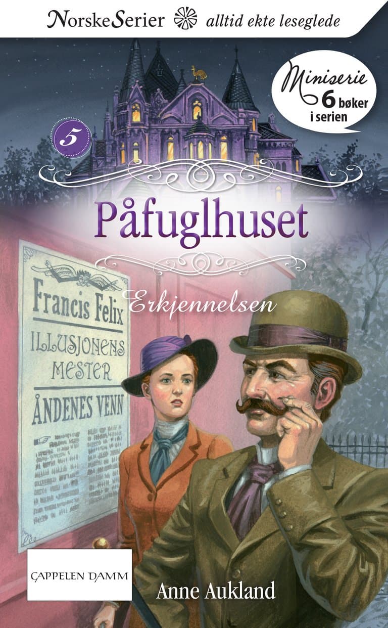 Omslag Erkjennelsen av Anne Aukland (Ebok)