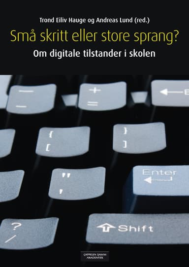 Små skritt eller store sprang?