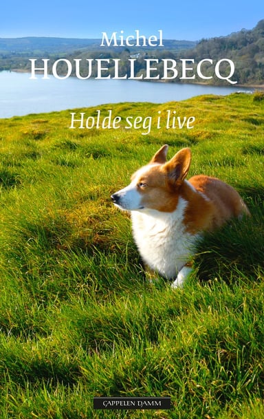 Omslag av "Holde seg i live"