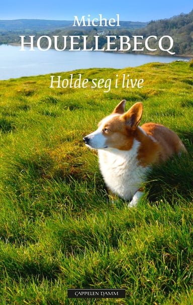 Omslag av "Holde seg i live"