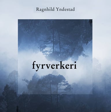 Omslag av "Fyrverkeri"
