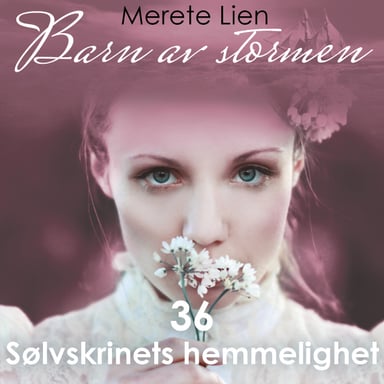 Omslag av "Sølvskrinets hemmelighet"