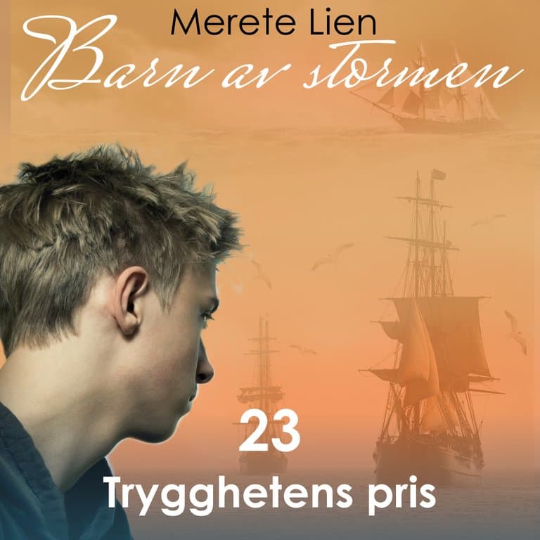 Omslag Trygghetens pris av Merete Lien (Lydbok)