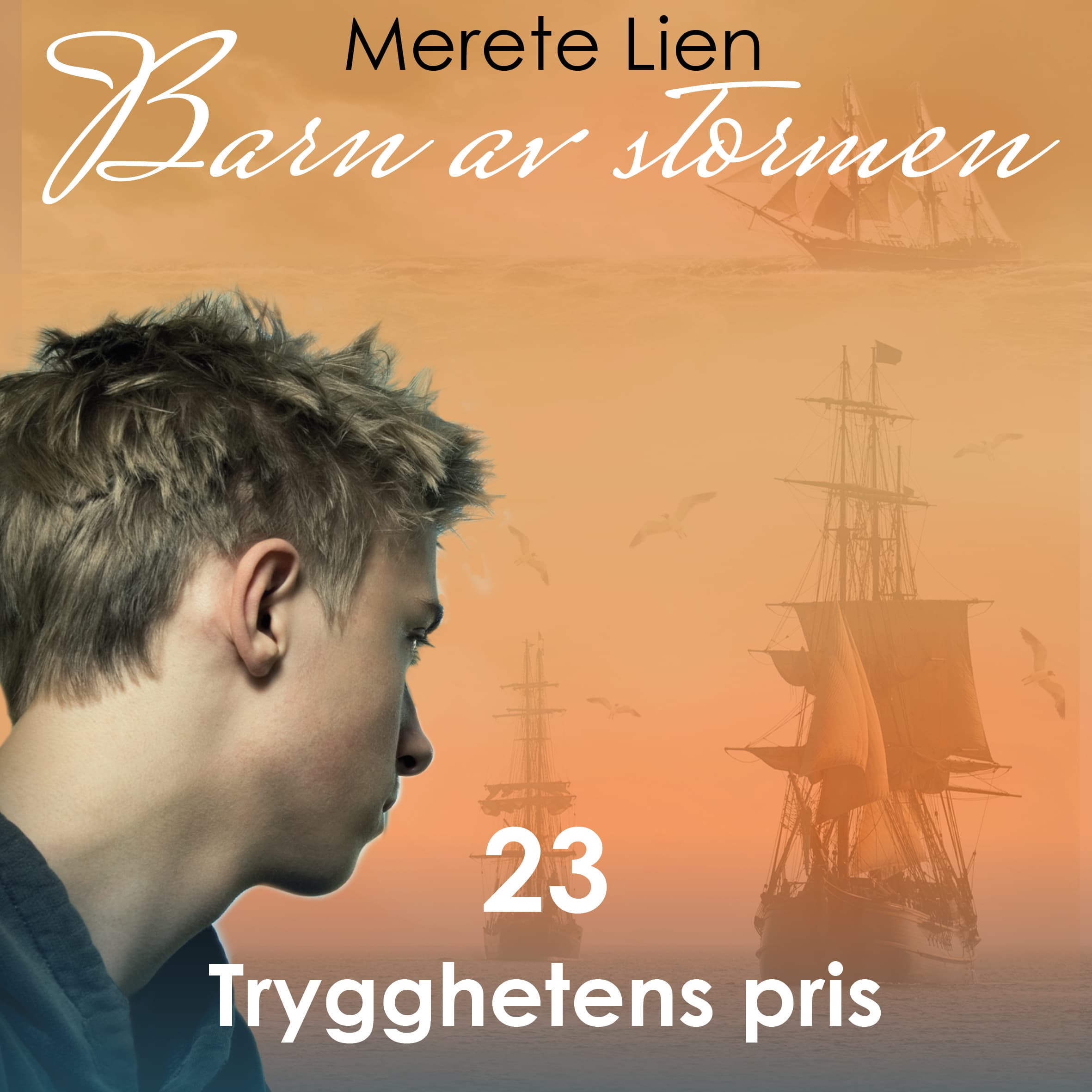 Omslag Trygghetens pris av Merete Lien (Lydbok)