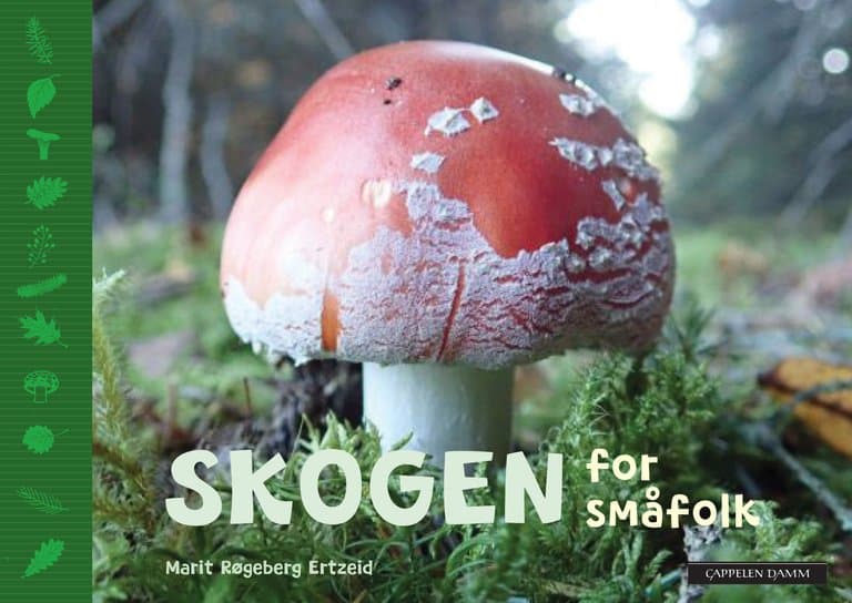 Omslag Skogen for småfolk av Marit Røgeberg Ertzeid (Innbundet)