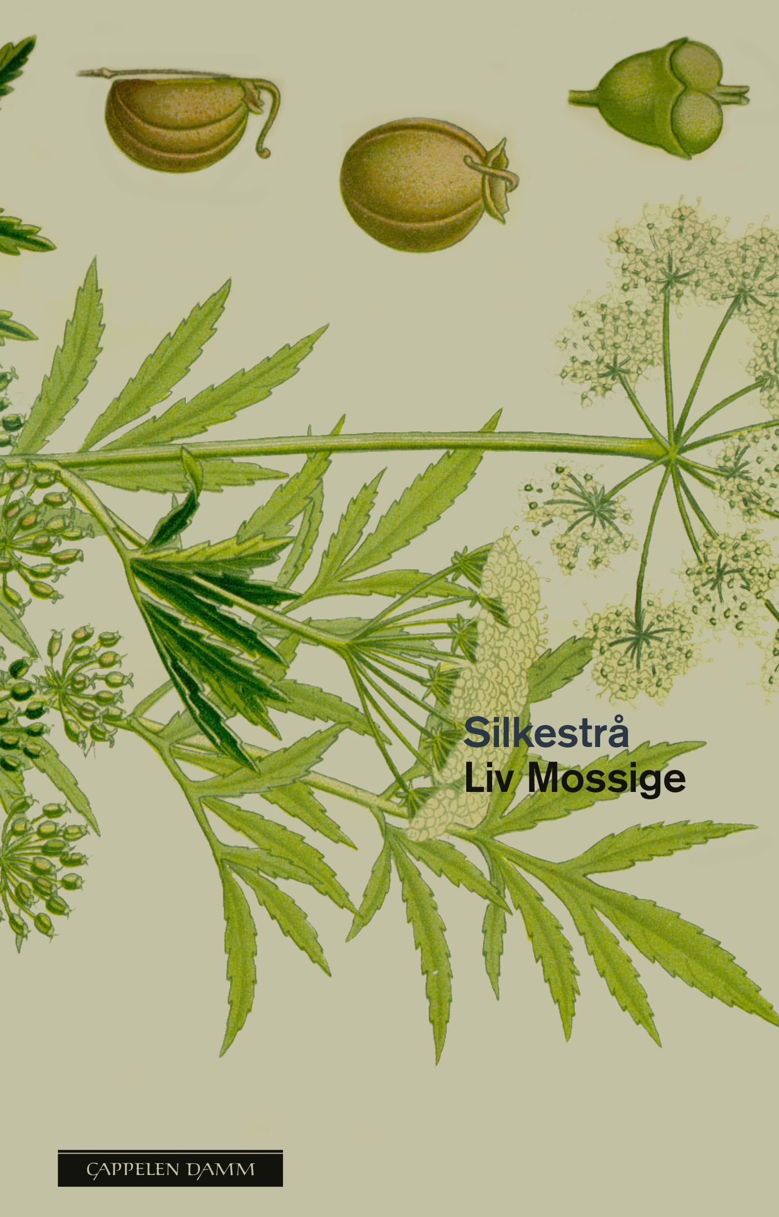 Omslag Silkestrå av Liv Mossige (Ebok)