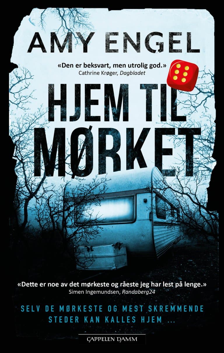 Omslag Hjem til mørket av Amy Engel (Ebok)