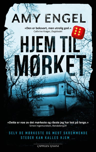 Omslag av "Hjem til mørket"