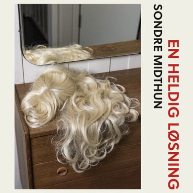 Omslag av "En heldig løsning"