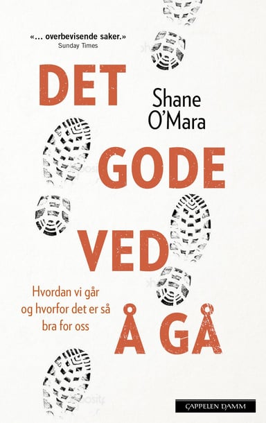 Omslag av "Det gode ved å gå"